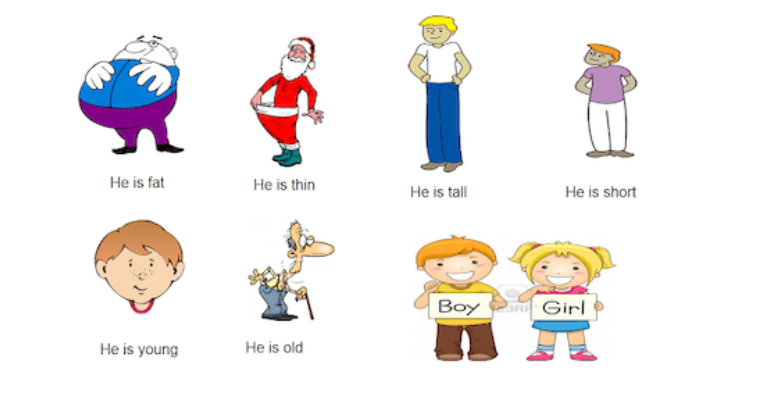 لغات پایه زبان انگلیسی -ظاهر افراد به انگلیسی (Appearance)