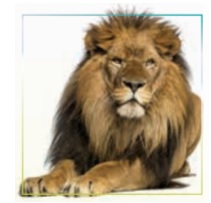 ترجمه کلمات و اصطلاحات جدید زبان دهم