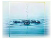 ترجمه کلمات و اصطلاحات جدید زبان دهم