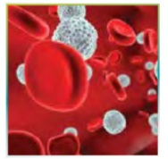 ترجمه کلمات و اصطلاحات جدید زبان دهم