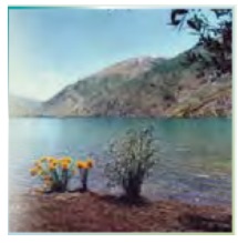  ترجمه کلمات و اصطلاحات جدید درس دوم زبان دهم