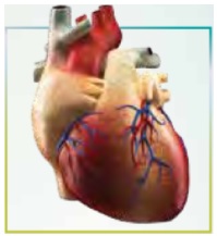  ترجمه کلمات و اصطلاحات جدید درس دوم زبان دهم