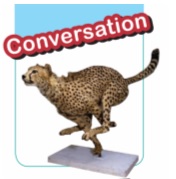 آموزش گام به گام و ترجمه مکالمه زبان دهم درس دوم 