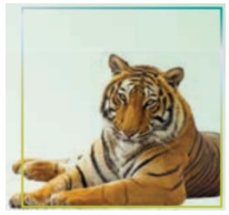 ترجمه کلمات و اصطلاحات جدید زبان دهم