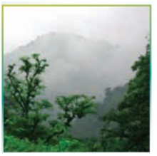 ترجمه کلمات و اصطلاحات جدید زبان دهم