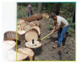 ترجمه کلمات و اصطلاحات جدید زبان دهم