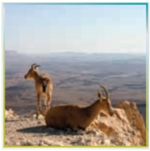 ترجمه کلمات و اصطلاحات جدید زبان دهم