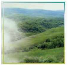 ترجمه کلمات و اصطلاحات جدید زبان دهم