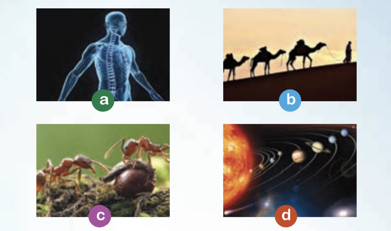 ترجمه get ready زبان دهم درس اول  